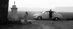 ida_256.jpg
