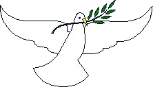 colombe